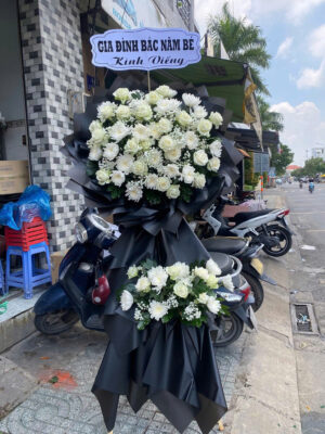 hoa lan hồ điệp