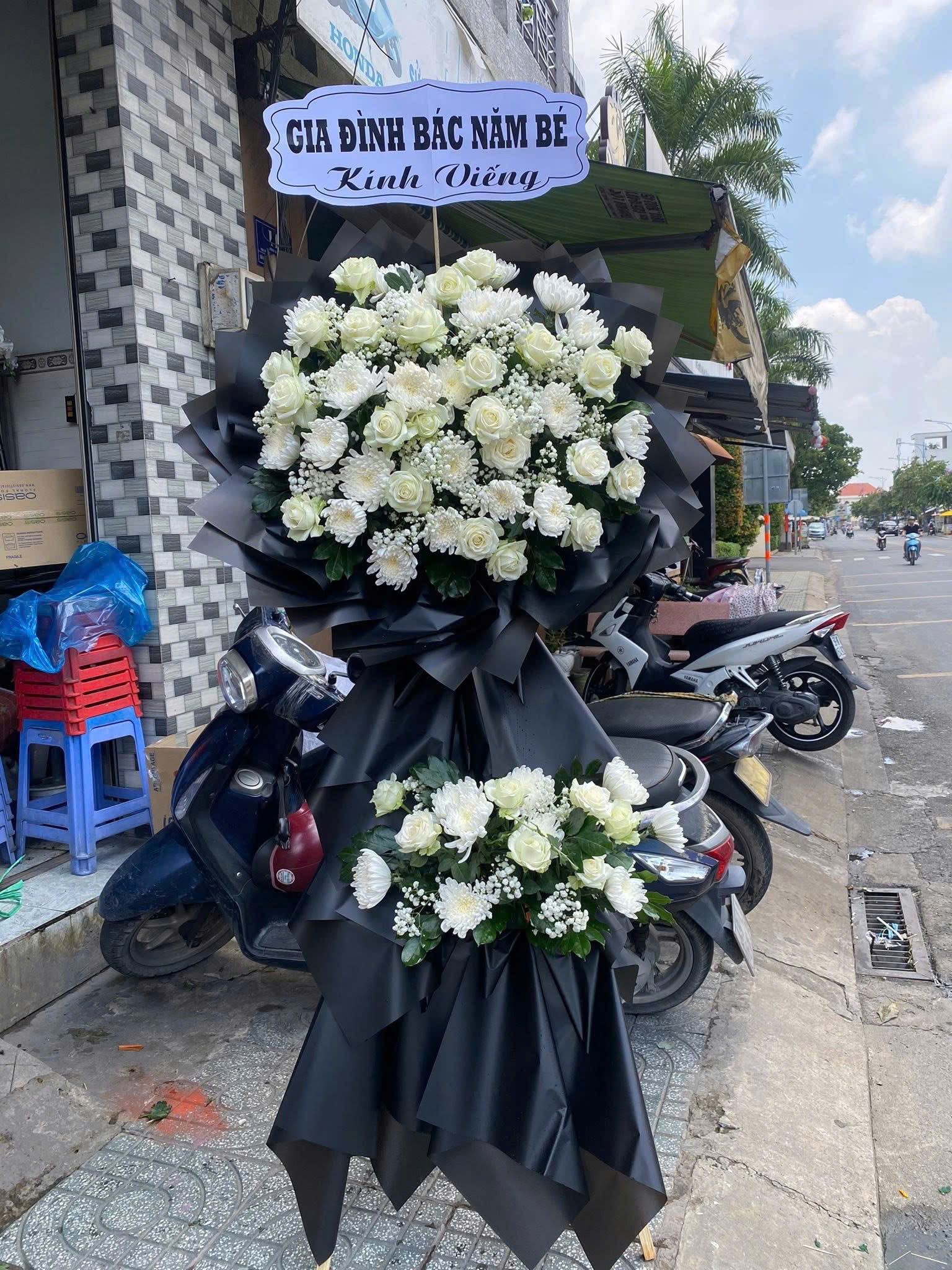 hoa lan hồ điệp