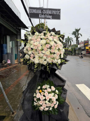 hoa lan hồ điệp