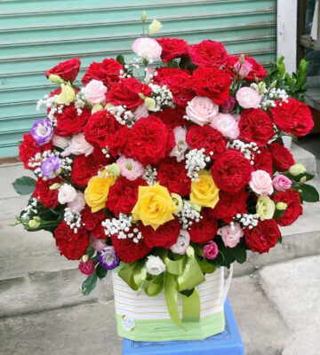 hoa lan hồ điệp