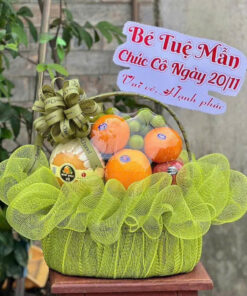 Giỏ trái cây GTC-07